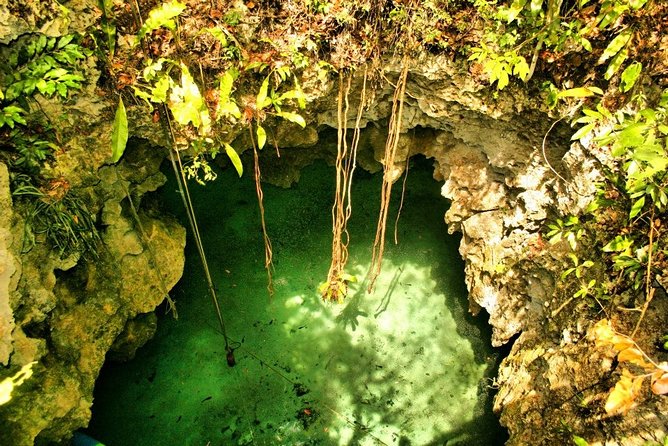 Tulum Ruins & Cenote guided private tour from Tulum and Riviera Maya. - Lunch at the end: a nice buffer for a half-day schedule