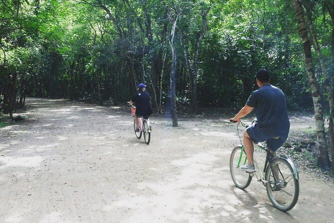 Tulum Ruins & Cobá Ruins Adventure (Private, Full Day) - Stop 2: Tulum Ruins on the Beach, Palms, and Wild Iguanas