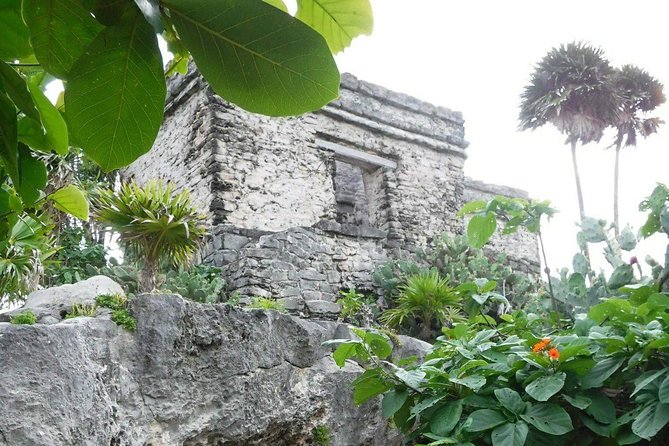 Tulum Ruins Tour (Private, Half Day) - How Guides Turn Stone Into Stories (Rodrigo and Eli)