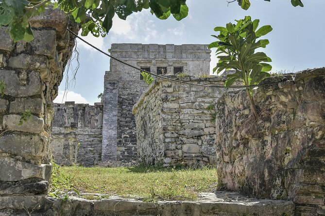 Tulum Ruins, Turtles in Akumal and Cenote tour - Early pickup and a long day in the best way