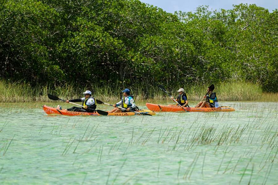 Tulum: Sian Ka'an Biosphere Reserve Kayak Tour - Key things that make this tour worth your time