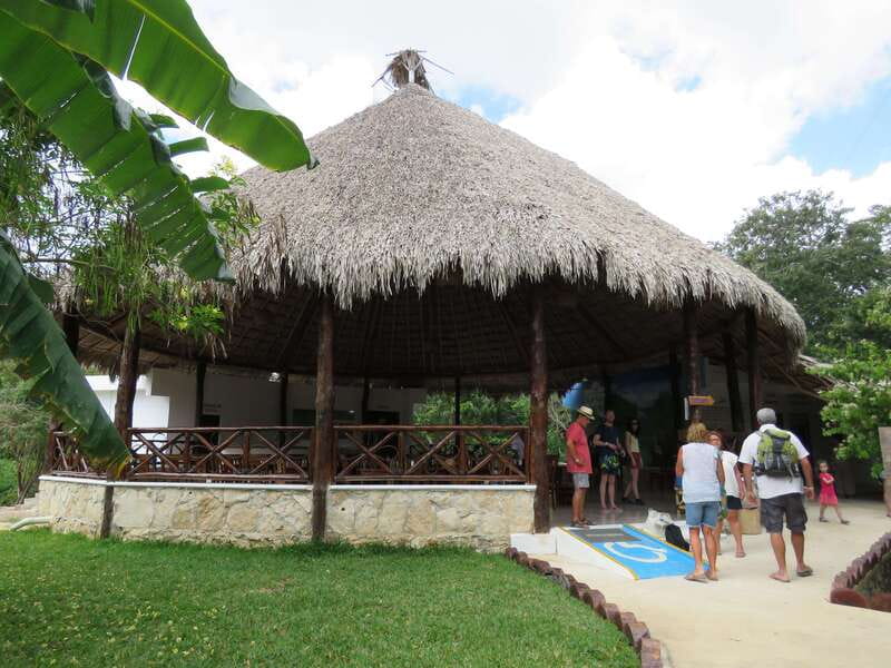 Tulum: Sian Ka'an Biosphere Reserve Kayak Tour - Guides make a difference: bird-spotting and story skills
