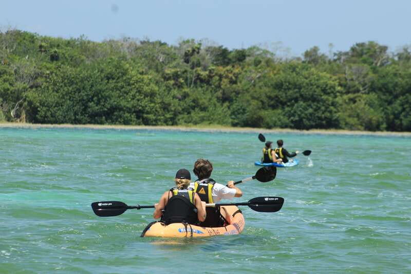 Tulum: Sian Ka'an Biosphere Reserve Kayak Tour - Between lagoons: handcrafted canals and the wetlands’ quiet drama