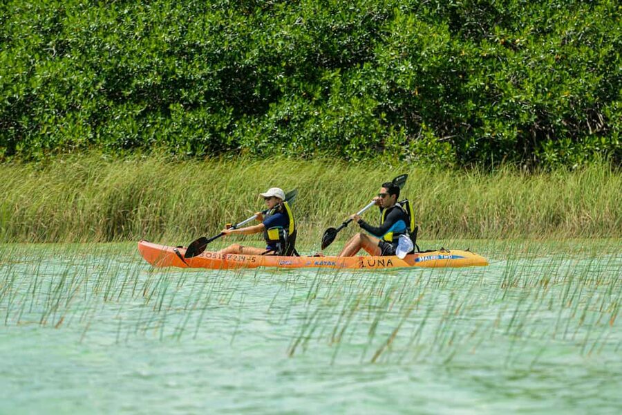 Tulum: Sian Ka'an Biosphere Reserve Kayak Tour - What to bring (and what to avoid) for a smoother, safer day