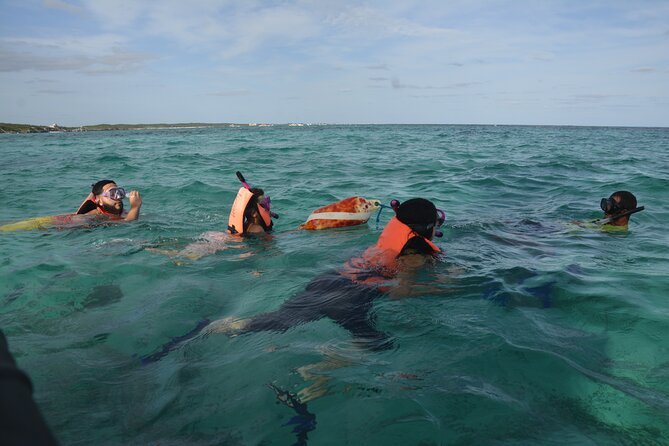 Tulum: Snorkeling and Private Sailing Tour - Where to meet Pocna Tulum Hotel (and how to not waste time)