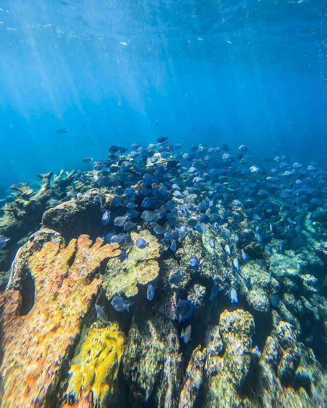 Tulum: Snorkeling at Paradise Reef - Photo stop and ruins views before you swap shoes for fins