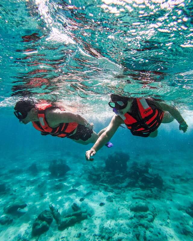 Tulum: Snorkeling at Paradise Reef - The guided snorkeling session: what you should expect to see