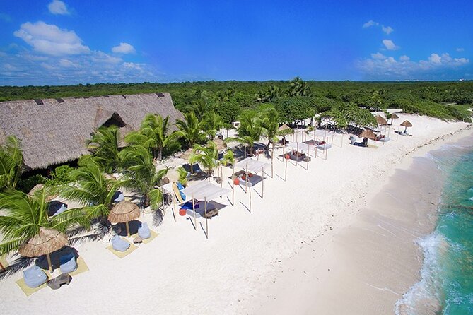 Tulum, Snorkeling with Sea Turtles, Cenote and Beachside Lunch - Stop 3: Akumal Beach Turtle Snorkeling (How to Get the Best Chance)