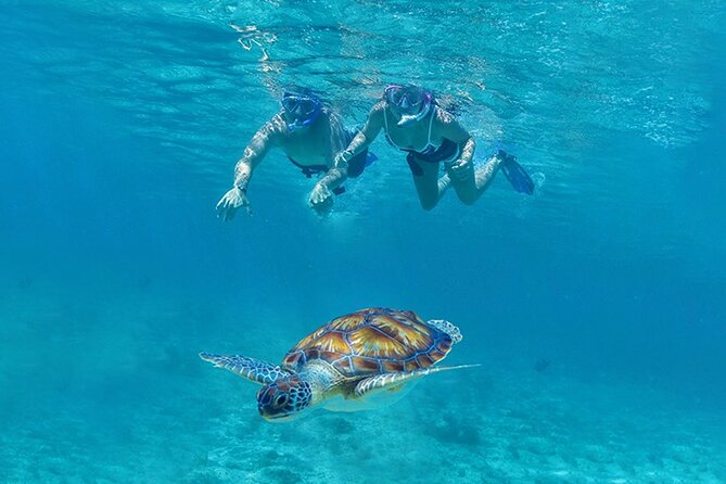 Tulum, Snorkeling with Sea Turtles, Cenote and Beachside Lunch - Price and Value: What $189 Really Covers (Plus the One Big Extra Fee)
