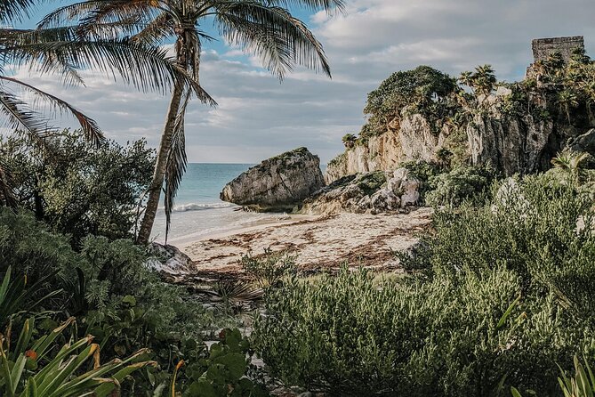 Tulum Transportation Service 24/7 The Most Reliable and safe. - What’s Included (and What’s Not)