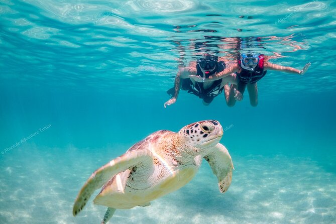 Tulum VIP Private Tour with Sea Turtles & Cenote – Award-Winning - Stop 1: Tulum Archaeological Site before the crowds