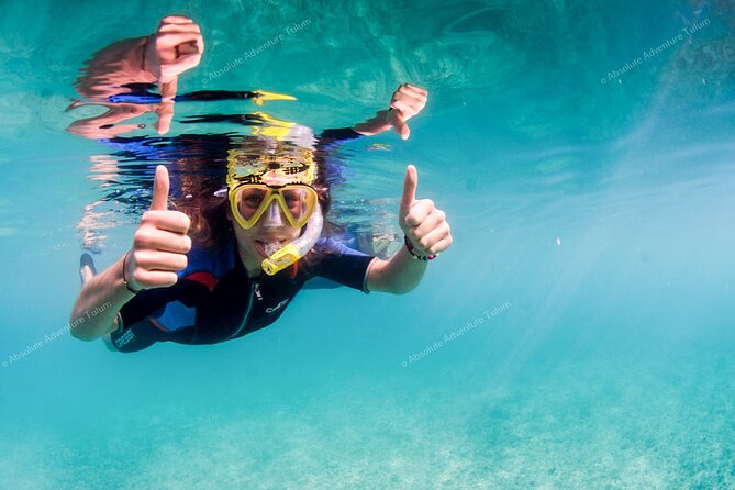 Tulum VIP Private Tour with Sea Turtles & Cenote – Award-Winning - Cenote Taak Bi Ha area: choosing between jungle fun and underground water
