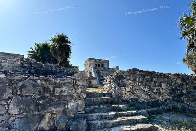 Tulum VIP Private Tour with Sea Turtles & Cenote – Award-Winning - Akumal Beach snorkeling for sea turtles and stingrays from shore