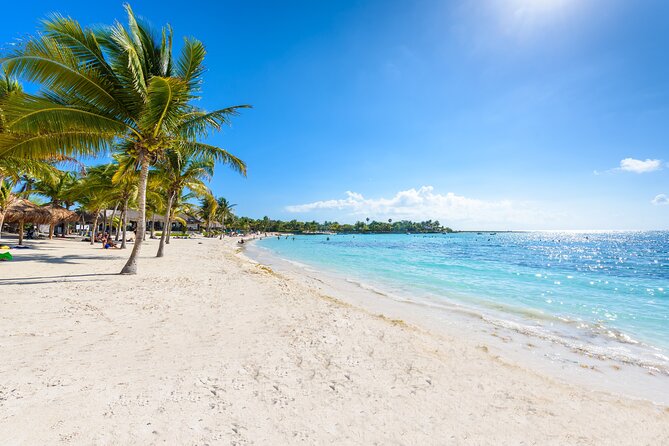 Turtle and Reef Sanctuary Snorkeling - Who should book this snorkeling tour in Tulum?