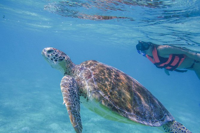 Turtle Snorkeling Adventure from Cancun - Stop One: EcoColors Tours and the Cenote Snorkel Setup