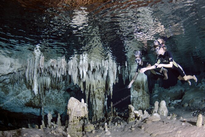 Turtle Snorkeling Private Tour – Sea Turtles & Cenote in Tulum - Gear, Fees, and What You’re Not Scrambling For