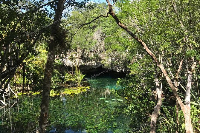 Turtle Snorkeling Private Tour – Sea Turtles & Cenote in Tulum - Pickup Timing and the Road Reality Around Tulum